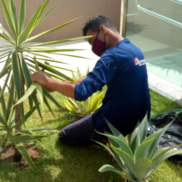 Alternativa Soluções Integradas em Serviços