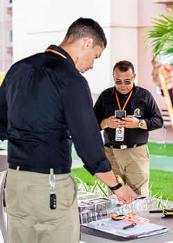 Alternativa Servicos 01